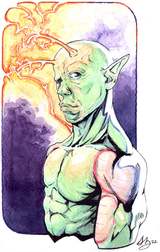 NAMEKIAN WARRIOR